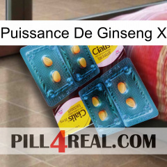 Ginseng Power X cialis5